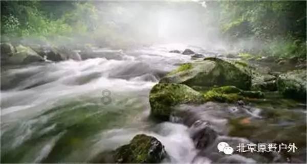 潍坊昌乐：“80后”手艺人用刻刀记录“美好瞬间” 这些精美蛋雕你见过吗？